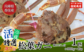 【先行予約】【特選 活 松葉ガニ 生 1匹（約900g～1kg）冷蔵】11月中旬以降配送予定 配送日指定不可 香住で水揚げされた新鮮な活松葉ガニをお届け カニの本場 香住 新鮮 国産 鍋 かにすき 脚 足 爪 身 肩 大人気 ふるさと納税 兵庫県 香美町 香住 柴山 ズワイガニ 宿院商店 33-27
