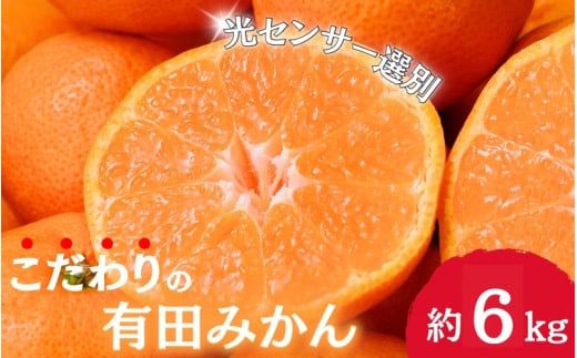 【12月発送】＼光センサー選別／農家直送 こだわりの完熟有田みかん 約6kg＋250g(傷み補償分) 【ご家庭用】みかん ミカン 有田みかん 温州みかん 柑橘 有田 和歌山 産地直送【nuk102-2