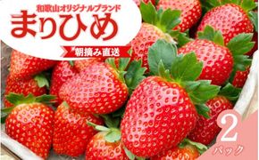 【先行予約】特大まりひめ いちご 朝摘 6個～11個入り×2パック  2026年1月中旬～2026年3月末頃に順次発送予定（お届け日指定不可）/ いちご 苺 まりひめ 和歌山 フルーツ  果物 くだも