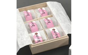 はちみつ梅干し贈答用木箱入り6粒個包装【2箱セット】［大玉］4L 紀州南高梅 うめぼし 和歌山産/紀伊国屋文左衛門本舗【sgtb282A】