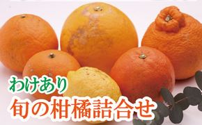 庭用 柑橘詰合せ1.5kg+45g（傷み補償分）【訳あり・わけあり】【有田の春みかん詰め合わせ・フルーツ詰め合せ・オレンジつめあわせ】【光センサー選別】【ikd184A】