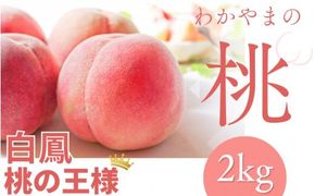 【予約受付】桃の王様 白鳳 <特秀品> 約2kg（6個~9個） 2025年6月末頃～2025年7月末頃に順次発送予定（お届け日指定不可）【kgr009】