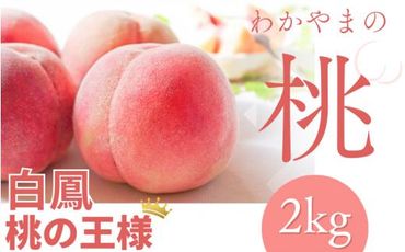 [予約受付]桃の王様 白鳳 [特秀品] 約2kg(6個~9個) 2025年6月末頃〜2025年7月末頃に順次発送予定(お届け日指定不可)[kgr009]