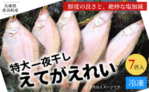 【兵庫県香住産 特大 一夜干し えてがれい 7匹入り】産地直送 冷凍 「味にこだわり」 他社とは一味違う鮮度の良さ、ツヤと色合い、絶妙な塩加減。焼いた時にふっくらするよう干し加減にもこだわっております。肉厚で脂のりが良いのが特長で、大きく食べ応えある商品です。兵庫県 香美町 香住 山陰 伝統の香住の干物 魚や HARATOKU 56-07