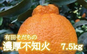 【先行予約】有田育ちの濃厚不知火(ご家庭用)(通称デコポン)　約7.5kg【ard022B】