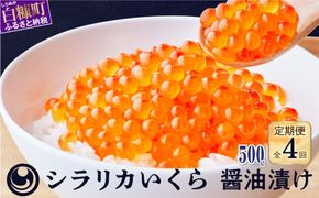 年4回!シラリカいくら(醤油味)定期便【500g(250g×2)×4回】
