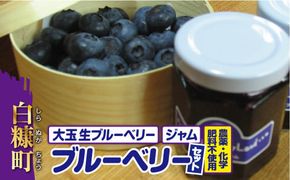 農薬・化学肥料不使用ブルーベリーセット