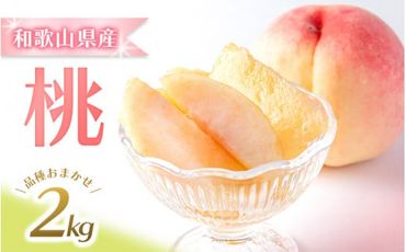 【先行予約】和歌山県産の美味しい桃 約2kg （6～9玉入り）【2024年6月中旬頃～8月中旬頃順次発送予定】 和歌山 もも モモ 桃 ギフト 贈り物 プレゼント 夏 果物 フルーツ【mat101A】