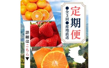 【定期便】●全3回● 産地直送 定期便【温州みかん・まりひめ・紀州デコ】 / フルーツ 果物 みかん いちご  旬 定期便  【tkb352】