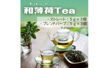 和薄荷Tea010-011