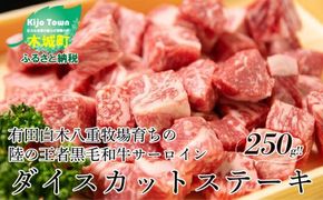 ＜木城ブランチ　有田白木八重牧場育ちの陸の王者黒毛和牛サーロインダイスカットステーキ　250g＞ K20_0019_2