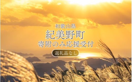 【返礼品なし】和歌山県紀美野町への寄附 1,000円（寄附のみの受付となります）/ 紀美野町 和歌山県 寄附のみ 支援 応援 寄付 1,000円 【kmy001】