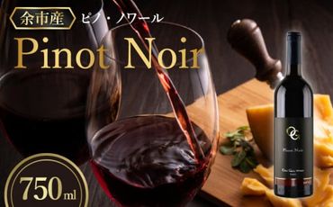 【OcciGabi Winery】 ピノ・ノワール 750ml【余市のワイン】 ワイン 赤ワイン 人気ワイン  ピノノワール ピノ・ノワール 余市のワイン 北海道のワイン 日本のワイン 国産ワイン