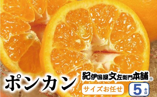 ポンカン 約5kg/サイズおまかせ ※2023年1月下旬〜2月下旬頃に順次発送予定(お届け日指定不可) 紀伊国屋文左衛門本舗[ntbt451]