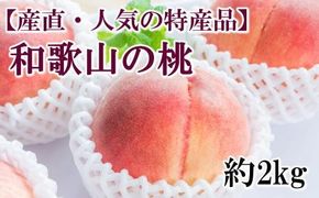 【産直・人気の特産品】和歌山の桃　約2kg・秀品　※2025年6月下旬～8月上旬頃順次発送【tec910A】