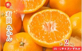 【先行予約】秀品 有田みかん 2kg 2S～Lサイズのいずれか ※2025年12月上旬頃〜2025年12月下旬頃に順次発送予定 / みかん ミカン 蜜柑 温州みかん 柑橘 フルーツ 果物 くだもの 和歌山【uot835A】