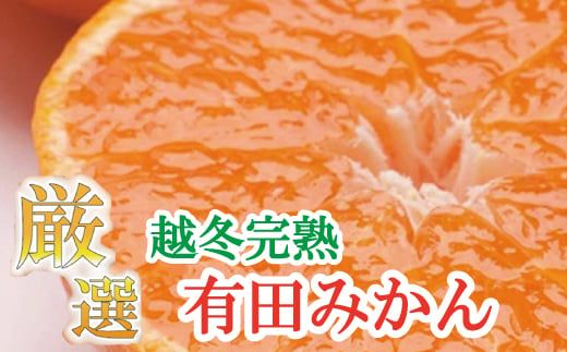 厳選　越冬完熟みかん3kg+90g（傷み補償分）【ハウスみかん】【光センサー選果】＜1月中旬より順次発送予定＞【ikd121B】