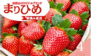 【先行予約】特大まりひめ いちご 朝摘 6個～11個入り×4パック 2025年1月初旬～3月中旬頃に順次発送予定（お届け日指定不可）/ いちご 苺 まりひめ 和歌山 フルーツ 果物【kiy004】