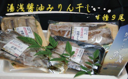 和歌山の近海でとれた新鮮魚の湯浅醤油みりん干し4品種9尾入りの詰め合わせ 【tec200A】