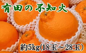 【濃厚】有田の不知火約5kg（18玉～28玉おまかせ） ※2025年2月中旬～2025年3月上旬頃に順次発送予定（日付指定不可） 【tec860】