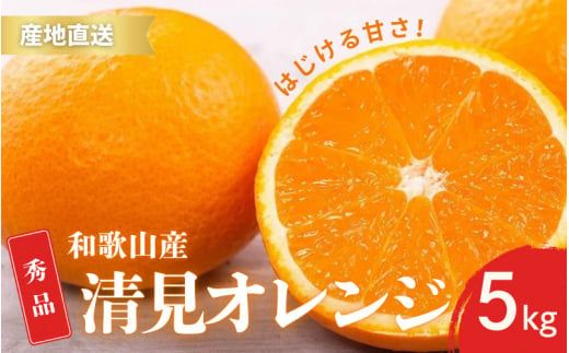【先行予約】秀品 きよみ 清見オレンジ 和歌山 有田 S～2Lサイズ 大きさお任せ 5kg【2月上旬～3月下旬頃に順次発送】/ みかん フルーツ 果物 くだもの 蜜柑 柑橘【ktn022】