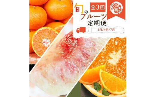 ya̎RV{szyS3zIBa̎RY{̃t[c (݂EIWE)ytkb381z