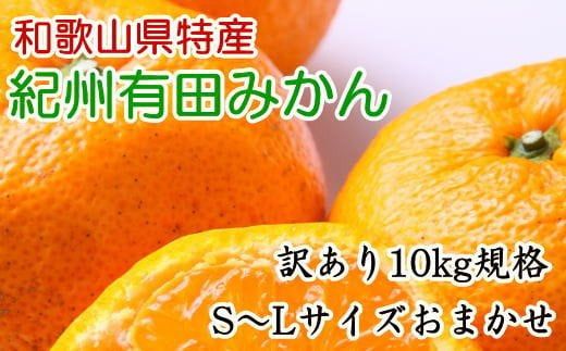 [訳あり規格]和歌山有田みかん10kg(S〜Lサイズおまかせ)※2024年11月中旬〜1月中旬頃順次発送予定(お届け日指定不可)[tec830]