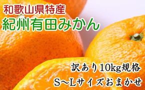 [訳あり規格]和歌山有田みかん10kg（S～Lサイズおまかせ）※2025年11月中旬～2026年1月中旬頃に順次発送予定【tec830A】