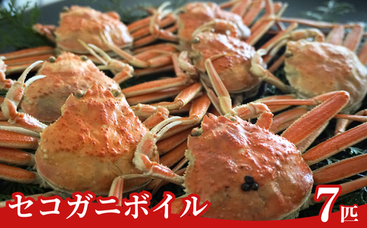 [先行予約][訳あり セコガニボイル(冷凍)7匹]※令和7年11月中旬以降順次発送予定 1〜2本足折れ 味や品質に問題ありません ふるさと納税 兵庫県 香美町 但馬漁業協同組合 柴山支所 04-06