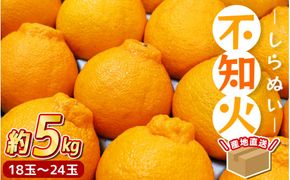 【先行予約】 ＼ みかんの名産地 和歌山県産／ 農家直送 不知火 約5kg(18～24玉) ひとつひとつ手選別で厳選【2025年3月中旬～4月下旬ごろに順次発送予定】【hdm002】