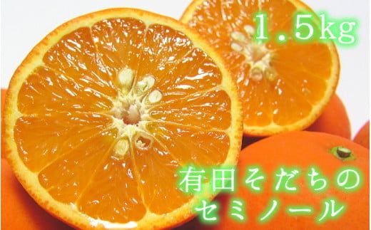 有田育ちの爽快セミノールオレンジ(ご家庭用)　約1.5kg　※2025年4月より順次発送予定【ard210】