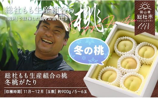 白桃「冬桃がたり」岡山県総社もも生産組合【2025年産先行予約】25-030-001