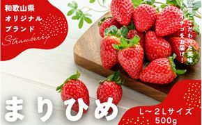 【先行予約】まりひめ いちご 12粒～15粒入り×2パック（500g）2025年1月初旬～2025年3月末頃に順次発送予定（お届け日指定不可）/ いちご 苺 まりひめ 和歌山 【kgr007】