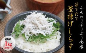 茹でたて釜揚げしらす　1kg(250g×4パック)【冷凍】/無添加なしらす 無着色のしらす しらす シラス 釜揚げのしらす 小分けできるしらす 冷凍のしらす 【mar103】