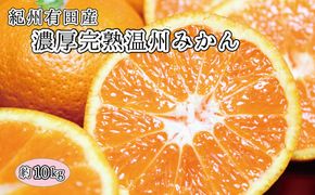 完熟有田みかん　10kg　※2024年11月下旬頃～2025年1月下旬頃に順次発送予定(お届け日指定不可)【uot705】