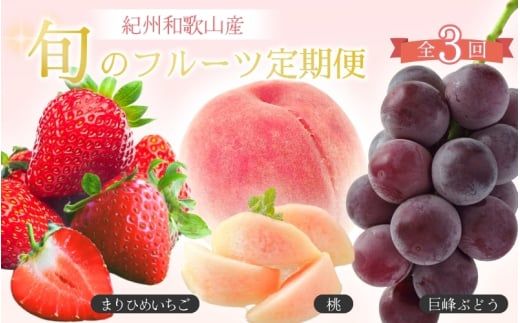 定期便 フルーツ 【全3回】紀州和歌山産 旬のフルーツ定期便（いちご・桃・巨峰） 【tkb400】