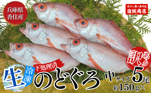 [先行予約][兵庫県香住産 処理済 のどぐろ中5匹 1匹約150g前後 計約700〜800g 冷凍]令和7年9月中旬以降発送予定 大人気 おすすめ 兵庫県 香美町 宿院商店 33-30