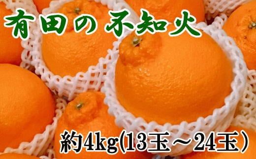 【濃厚】有田の不知火約4kg（13玉～24玉おまかせ） ※2025年2月上旬～2025年3月下旬頃に順次発送予定（日付指定不可）【tec863A】