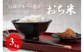 令和8年産　新米　仁淀ブルーの恵み「おち米」 3kg