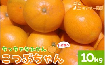 【訳あり】3S ちっちゃな有田みかん 10kg ※2024年11月中旬～2025年1月中旬までに順次発送予定（お届け日指定不可）※北海道・沖縄・離島への配送不可 有機質肥料100%【nuk164】