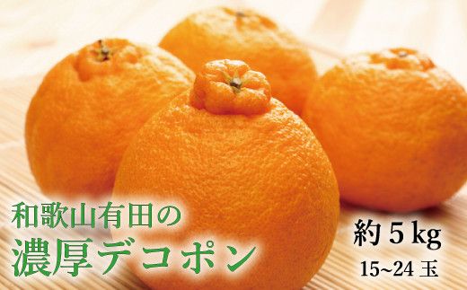 【大人気】和歌山有田の濃厚デコポン　15～24玉(約5kg)　※2025年1月中旬～3月下旬順次発送【ard005B】