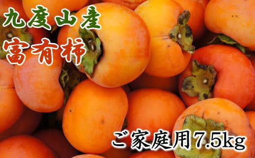 ≪柿の名産地≫九度山の富有柿約7.5kgご家庭用[2024年11月上旬〜2024年12月上旬頃に順次発送]