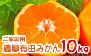 農園直送！濃厚有田みかん　約10kg【11月発送】【ard004B-1】