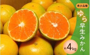 濃厚な味わい ご家庭用 ゆら早生みかん　約4kg　サイズ混合【10月上旬より発送】希少品種《有機質肥料100％》※2025年10月上旬より順次発送予定【nuk162A】