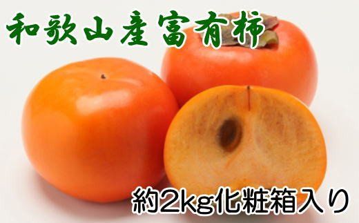 [厳選・産直]和歌山産の富有柿約2kg(化粧箱入り)(2L〜4Lサイズ)[tec406A]