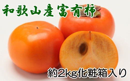 ［厳選・産直］和歌山産の富有柿約2kg（化粧箱入り）（2L～4Lサイズ）【tec406A】