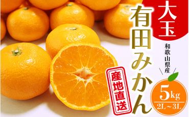 [先行予約]＼ みかんの名産地 和歌山県産/ 農家直送 大玉 有田みかん 5kg (2L〜3L) ひとつひとつ手選別で厳選[2024年11月下旬〜1月中旬ごろに順次発送予定][hdm001-1A]