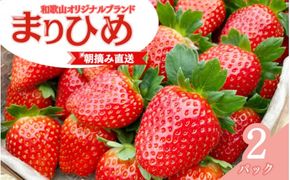 【先行予約】特大まりひめ いちご 朝摘 6個～11個入り×2パック  2027年1月中旬～2027年3月末頃に順次発送予定（お届け日指定不可）/ いちご 苺 まりひめ 和歌山 フルーツ  果物 くだもの【kiy003A】