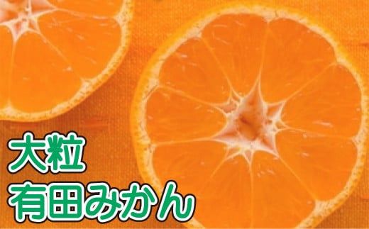 【果汁たっぷり】迫力満点！ 大粒 有田みかん 10kg【2024年11月中旬～12月下旬頃に順次発送予定】