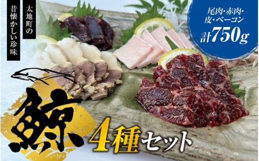 鯨肉 Bセット【tgk102】